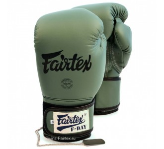 Перчатки боксерские Fairtex (BGV-11 F Day)